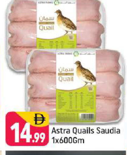 available at Shaklan  in UAE - Dubai