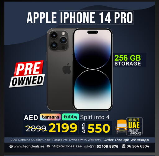 Apple available at تيك ديلس ترادينغ in الإمارات العربية المتحدة , الامارات - ٱلْفُجَيْرَة‎