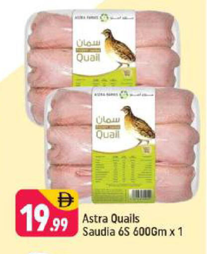 available at Shaklan  in UAE - Dubai