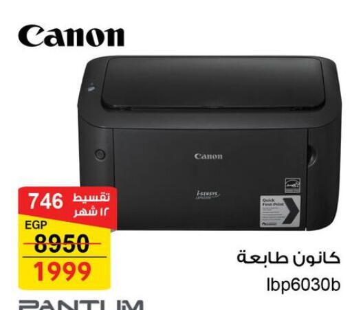 available at Fathalla Market  in Egypt - Cairo