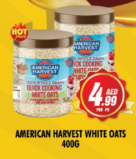 available at NIGHT TO NIGHT DEPARTMENT STORE in UAE - Sharjah / Ajman