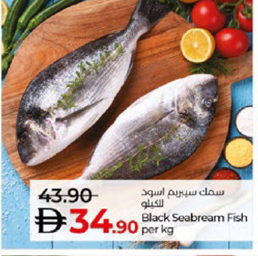 available at لولو هايبرماركت in الإمارات العربية المتحدة , الامارات - أبو ظبي