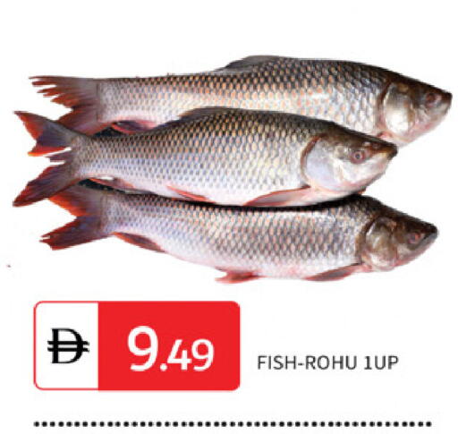 available at TALAL MARKET in UAE - Sharjah / Ajman