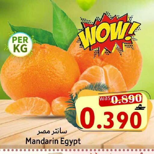 Mandarin from Egypt available at القوت هايبرماركت in عُمان - مسقط‎