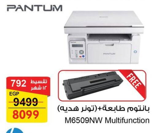 available at Fathalla Market  in Egypt - Cairo