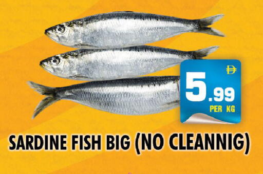 available at NIGHT TO NIGHT DEPARTMENT STORE in UAE - Sharjah / Ajman