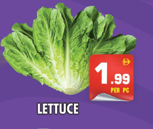 Lettuce available at NIGHT TO NIGHT DEPARTMENT STORE in UAE - Sharjah / Ajman