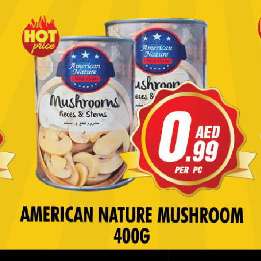 Mushroom available at NIGHT TO NIGHT DEPARTMENT STORE in UAE - Sharjah / Ajman