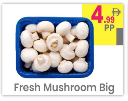 Mushroom available at Everyday Center in UAE - Ras al Khaimah