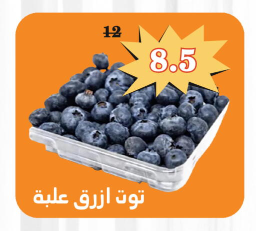 available at Economic Family in KSA, Saudi Arabia, Saudi - Yanbu