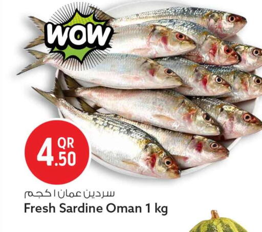 available at سفاري هايبر ماركت in قطر - الشمال