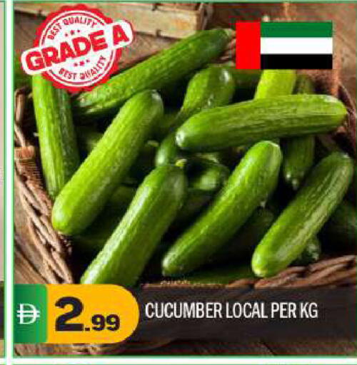 Cucumber available at بيج مارت in الإمارات العربية المتحدة , الامارات - أبو ظبي