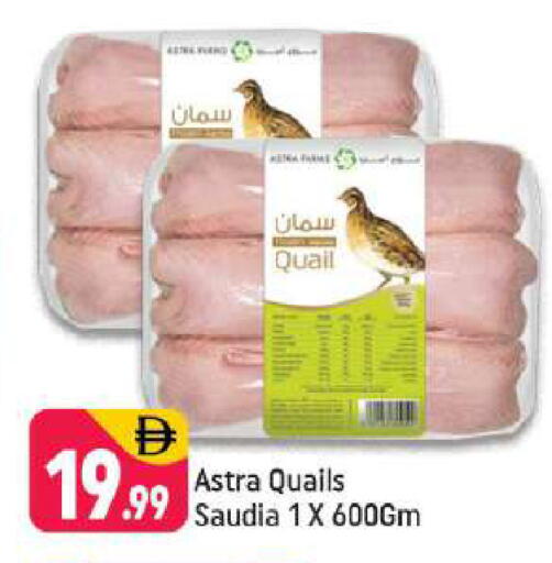 available at Shaklan  in UAE - Dubai