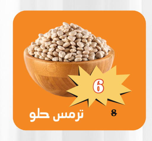 available at Economic Family in KSA, Saudi Arabia, Saudi - Yanbu