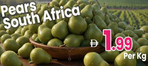 from South Africa available at Everyday Center in UAE - Ras al Khaimah