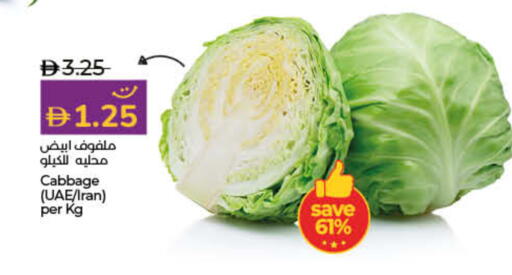 Cabbage from Iran available at Lulu Hypermarket in UAE - Umm al Quwain