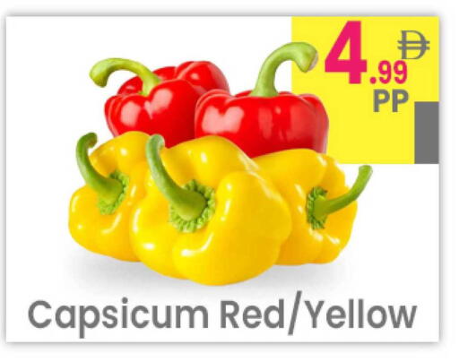 Capsicum available at Everyday Center in UAE - Ras al Khaimah
