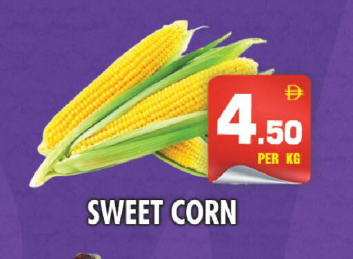 available at نايت تو نايت in الإمارات العربية المتحدة , الامارات - الشارقة / عجمان