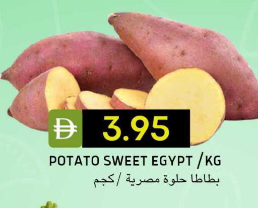 Potato from Egypt available at سيليكت ماركت in الإمارات العربية المتحدة , الامارات - أبو ظبي