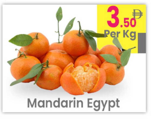 Mandarin from Egypt available at Everyday Center in UAE - Ras al Khaimah