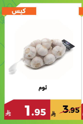 available at حدائق الفرات in مملكة العربية السعودية, السعودية, سعودية - مكة المكرمة