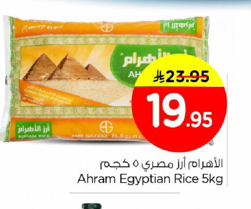 available at Nesto in KSA, Saudi Arabia, Saudi - Dammam