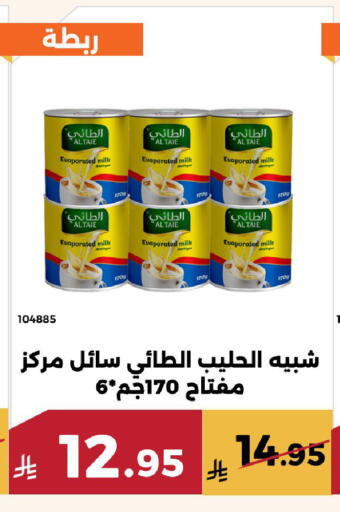 available at Forat Garden in KSA, Saudi Arabia, Saudi - Mecca