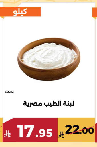 available at Forat Garden in KSA, Saudi Arabia, Saudi - Mecca