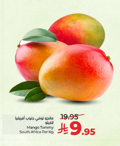Mango from South Africa available at LULU Hypermarket in KSA, Saudi Arabia, Saudi - Saihat