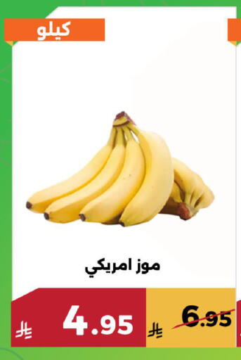 available at حدائق الفرات in مملكة العربية السعودية, السعودية, سعودية - مكة المكرمة