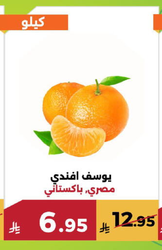 available at حدائق الفرات in مملكة العربية السعودية, السعودية, سعودية - مكة المكرمة