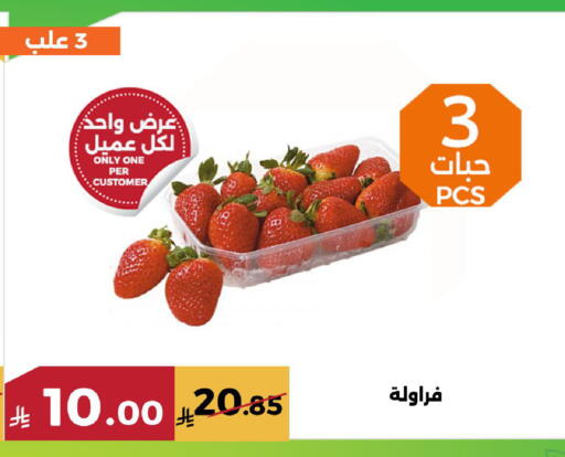 available at حدائق الفرات in مملكة العربية السعودية, السعودية, سعودية - مكة المكرمة