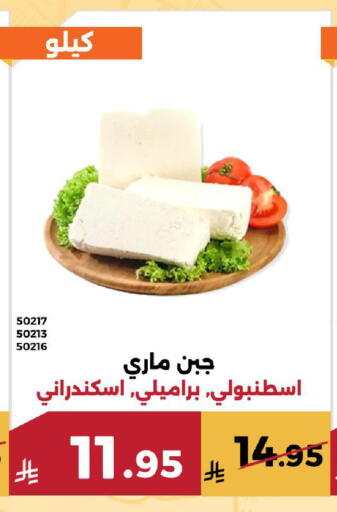 available at Forat Garden in KSA, Saudi Arabia, Saudi - Mecca