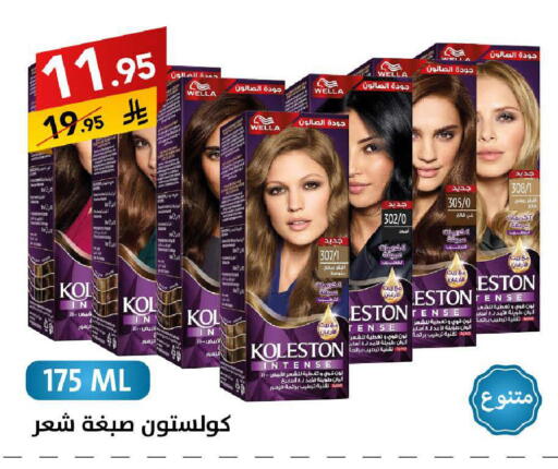 available at Ala Kaifak in KSA, Saudi Arabia, Saudi - Tabuk