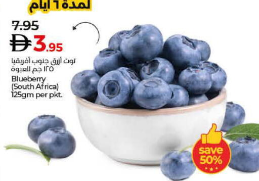 Blueberry BlueBerry available at Lulu Hypermarket in UAE - Abu Dhabi