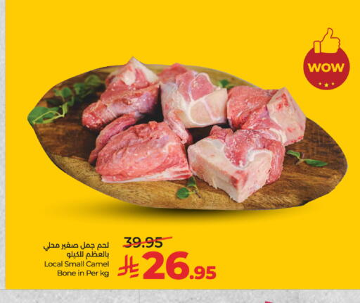 available at لولو هايبرماركت in مملكة العربية السعودية, السعودية, سعودية - مكة المكرمة