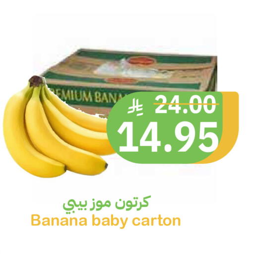 Banana available at أسواق قاطبة in مملكة العربية السعودية, السعودية, سعودية - بريدة