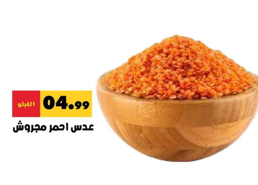available at Bin Afif Bazaar in KSA, Saudi Arabia, Saudi - Dammam