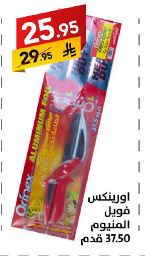 available at Ala Kaifak in KSA, Saudi Arabia, Saudi - Tabuk