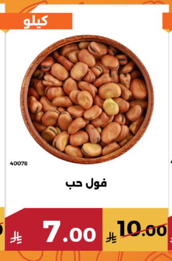 available at Forat Garden in KSA, Saudi Arabia, Saudi - Mecca