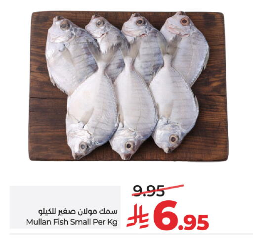 available at LULU Hypermarket in KSA, Saudi Arabia, Saudi - Hail