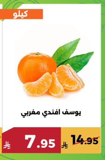 available at حدائق الفرات in مملكة العربية السعودية, السعودية, سعودية - مكة المكرمة