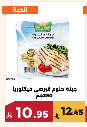 available at Forat Garden in KSA, Saudi Arabia, Saudi - Mecca