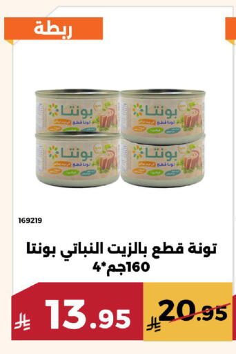 available at Forat Garden in KSA, Saudi Arabia, Saudi - Mecca