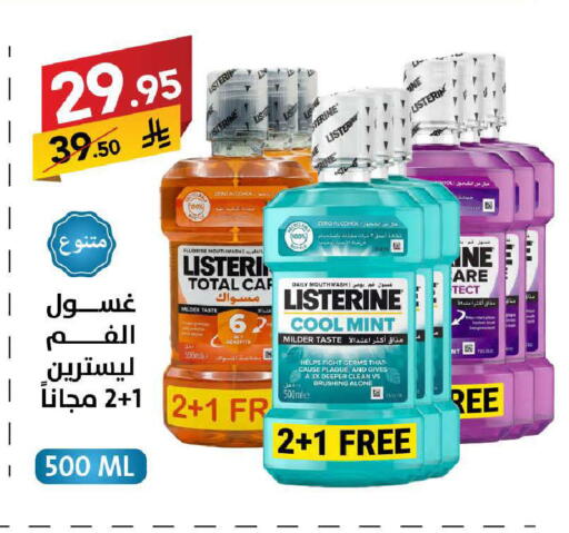 Mint available at Ala Kaifak in KSA, Saudi Arabia, Saudi - Tabuk