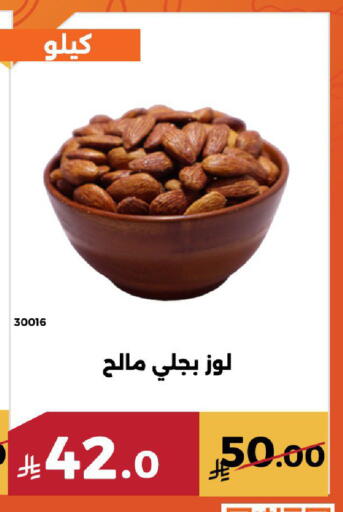 available at Forat Garden in KSA, Saudi Arabia, Saudi - Mecca