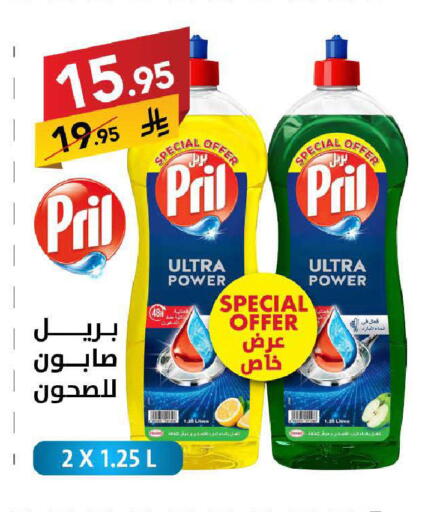 available at Ala Kaifak in KSA, Saudi Arabia, Saudi - Tabuk