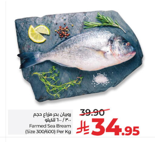 available at LULU Hypermarket in KSA, Saudi Arabia, Saudi - Hail