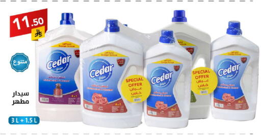 available at Ala Kaifak in KSA, Saudi Arabia, Saudi - Tabuk