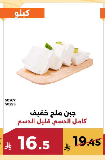 available at Forat Garden in KSA, Saudi Arabia, Saudi - Mecca